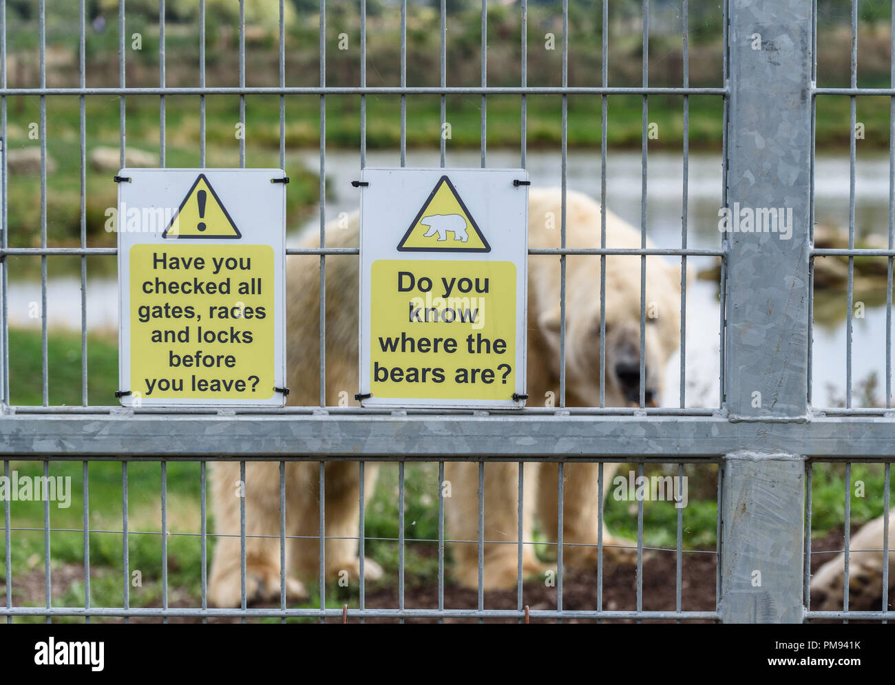 Un avviso di sicurezza segno per ricordare al personale di verificare la sicurezza degli orsi polari in Yorkshire Wildlife Park, Doncaster, Regno Unito. Foto Stock