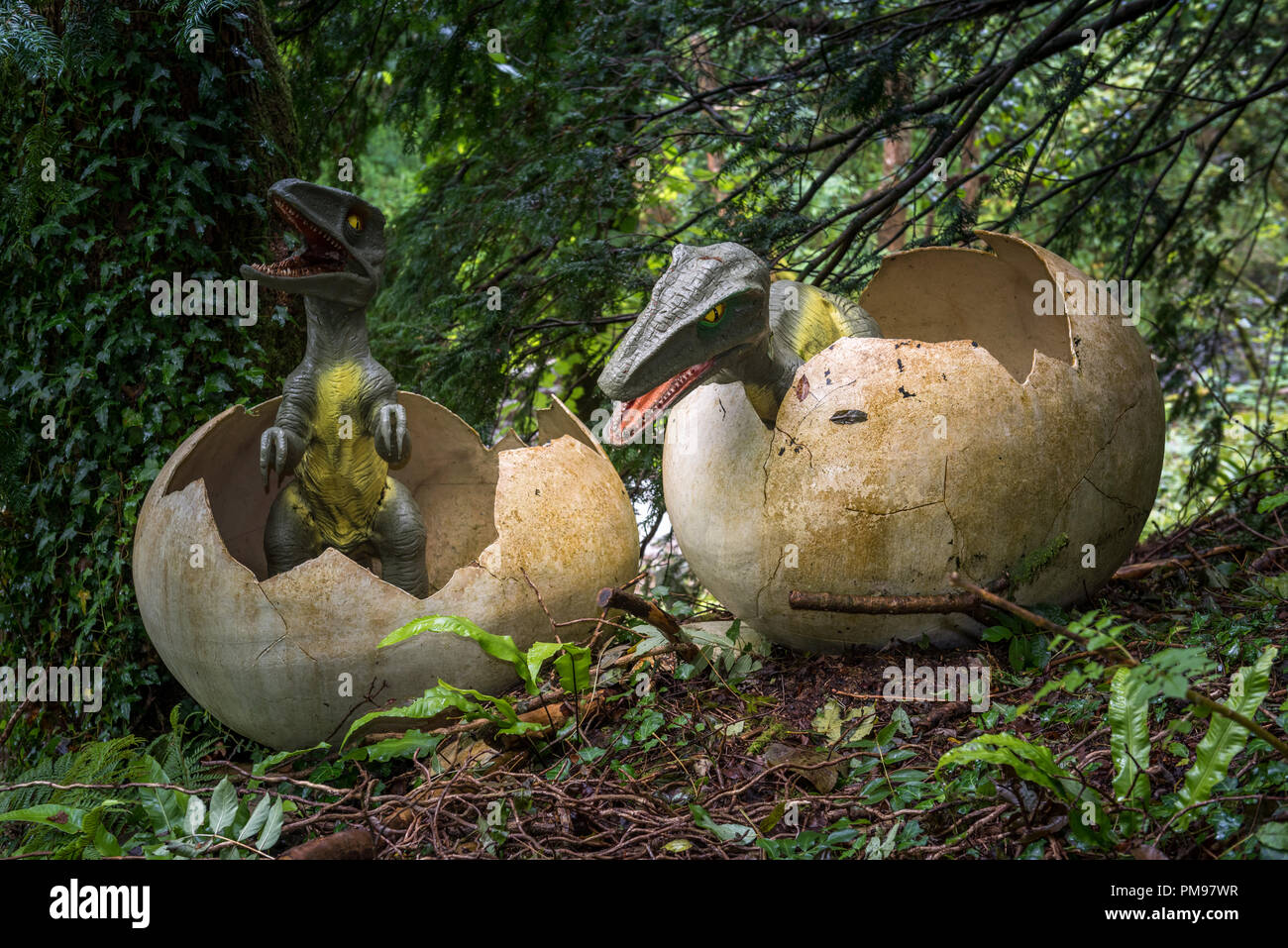 Uova di dinosauro da covare,Uova di dinosauro che si schiudono nell'acqua - 12 giocattoli per uova di dinosauro in crescita crepa | Forniture per feste educative scientifiche, festa di scienze Uozonit