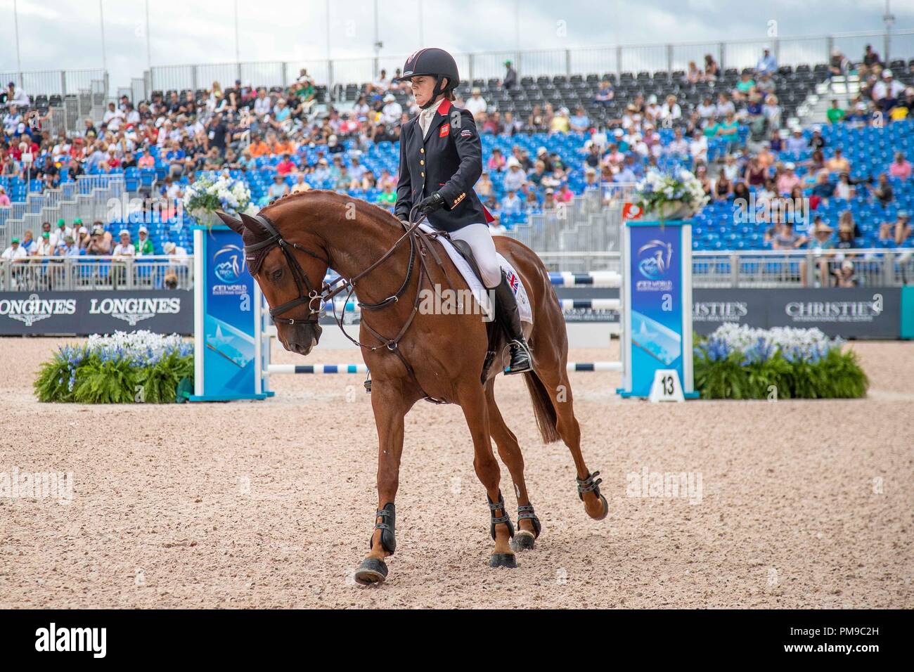 Piggy francese. Quarrycrest Echo. GBR. Eventing Show Jumping giorno 6. Giochi equestri mondiali. WEG 2018 Tryon. Carolina del Nord. Stati Uniti d'America. 17/09/2018. Foto Stock Piggy francese. Quarrycrest Echo. GBR. Eventing Show Jumping giorno 6. Giochi equestri mondiali. WEG 2018 Tryon. Carolina del Nord. Stati Uniti d'America. 17/09/2018. Foto Stock