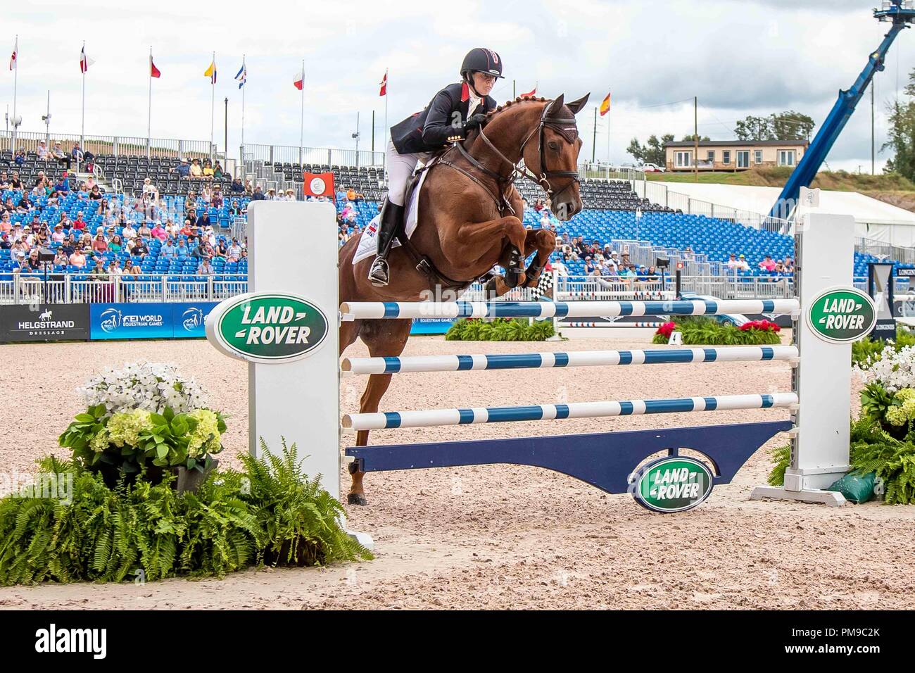 Piggy francese. Quarrycrest Echo. GBR. Eventing Show Jumping giorno 6. Giochi equestri mondiali. WEG 2018 Tryon. Carolina del Nord. Stati Uniti d'America. 17/09/2018. Foto Stock Piggy francese. Quarrycrest Echo. GBR. Eventing Show Jumping giorno 6. Giochi equestri mondiali. WEG 2018 Tryon. Carolina del Nord. Stati Uniti d'America. 17/09/2018. Foto Stock