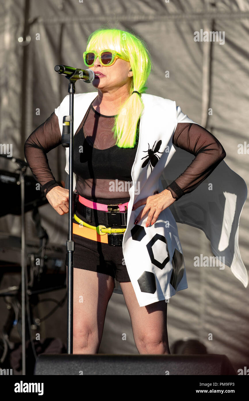 Chicago, Illinois, Stati Uniti d'America. Xvi Sep, 2018. BLONDIE DEBBIE HARRY) durante il Riot Fest a Douglas Park di Chicago, Illinois Credit: Daniel DeSlover/ZUMA filo/Alamy Live News Foto Stock