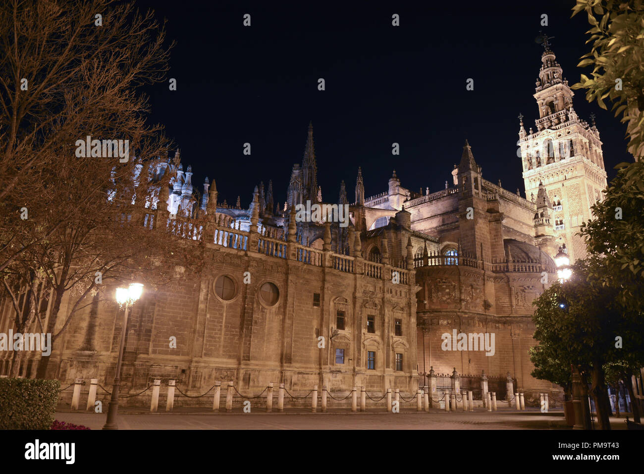 La bellissima Cattedrale di Siviglia di notte Foto Stock