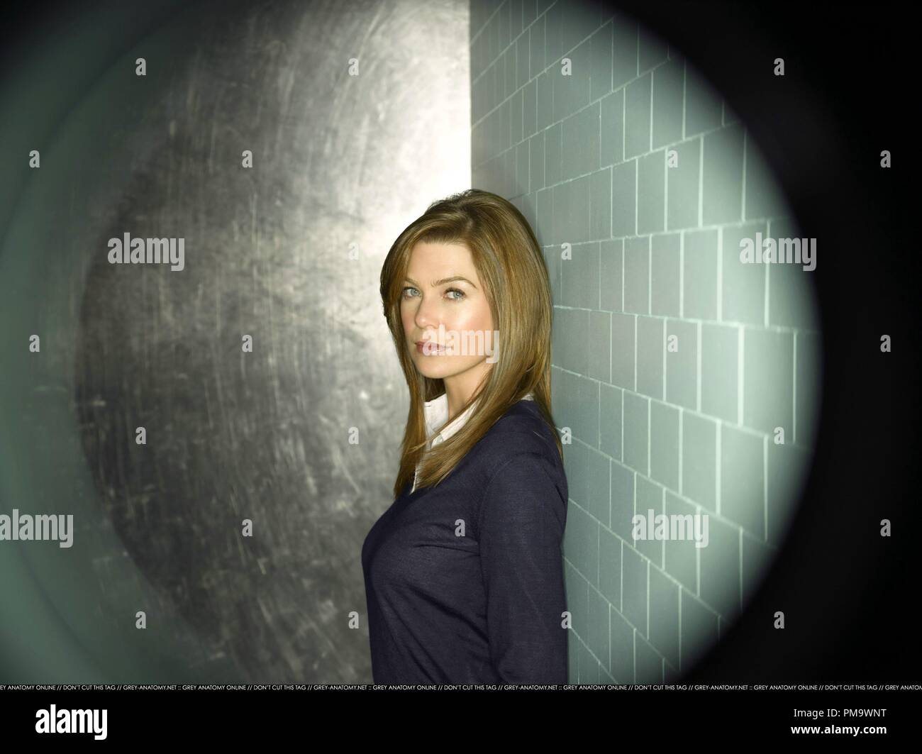 GRAY'S ANATOMY - ABC "Grey's Anatomy' stelle Ellen Pompeo come Meredith grigio. Foto Stock
