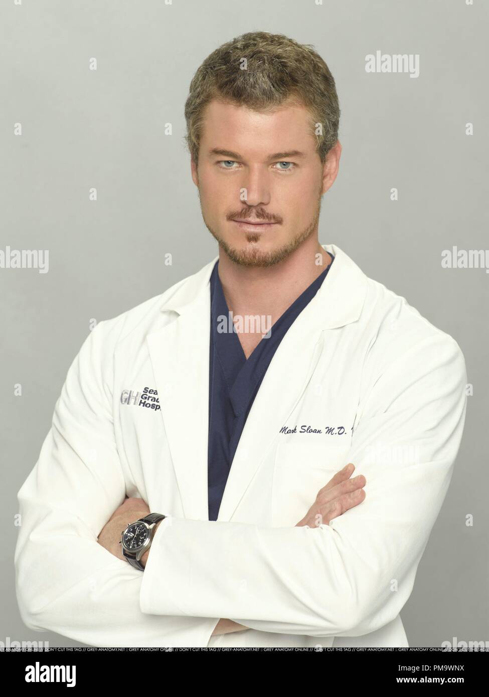 Abcs grays anatomia immagini e fotografie stock ad alta risoluzione - Alamy