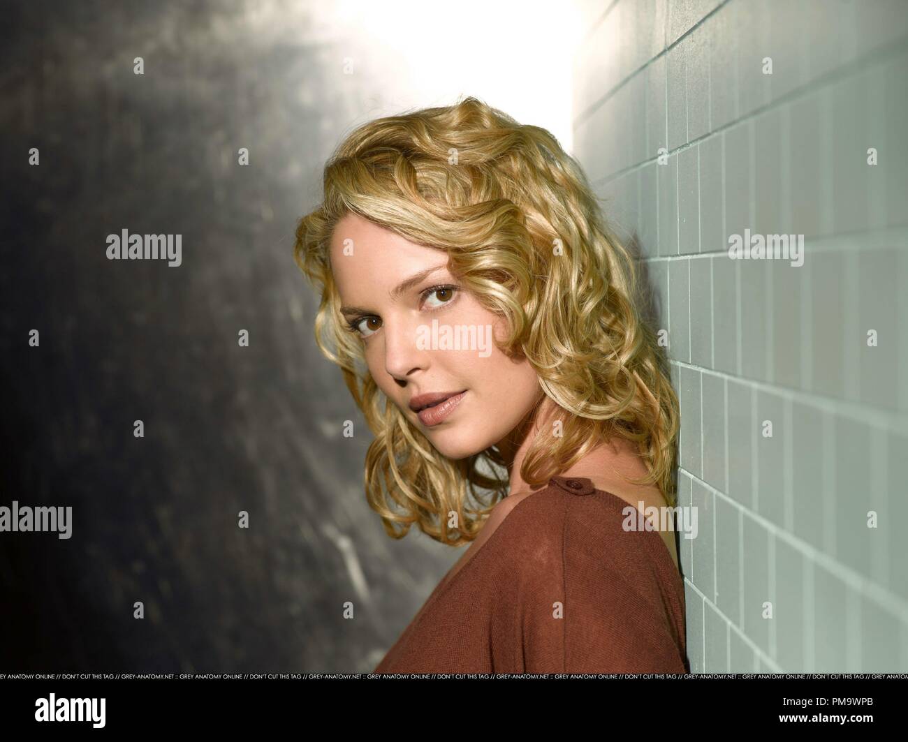 GRAY'S ANATOMY - ABC "Grey's Anatomy' stelle Katherine Heigl come Izzie Stevens. Foto Stock