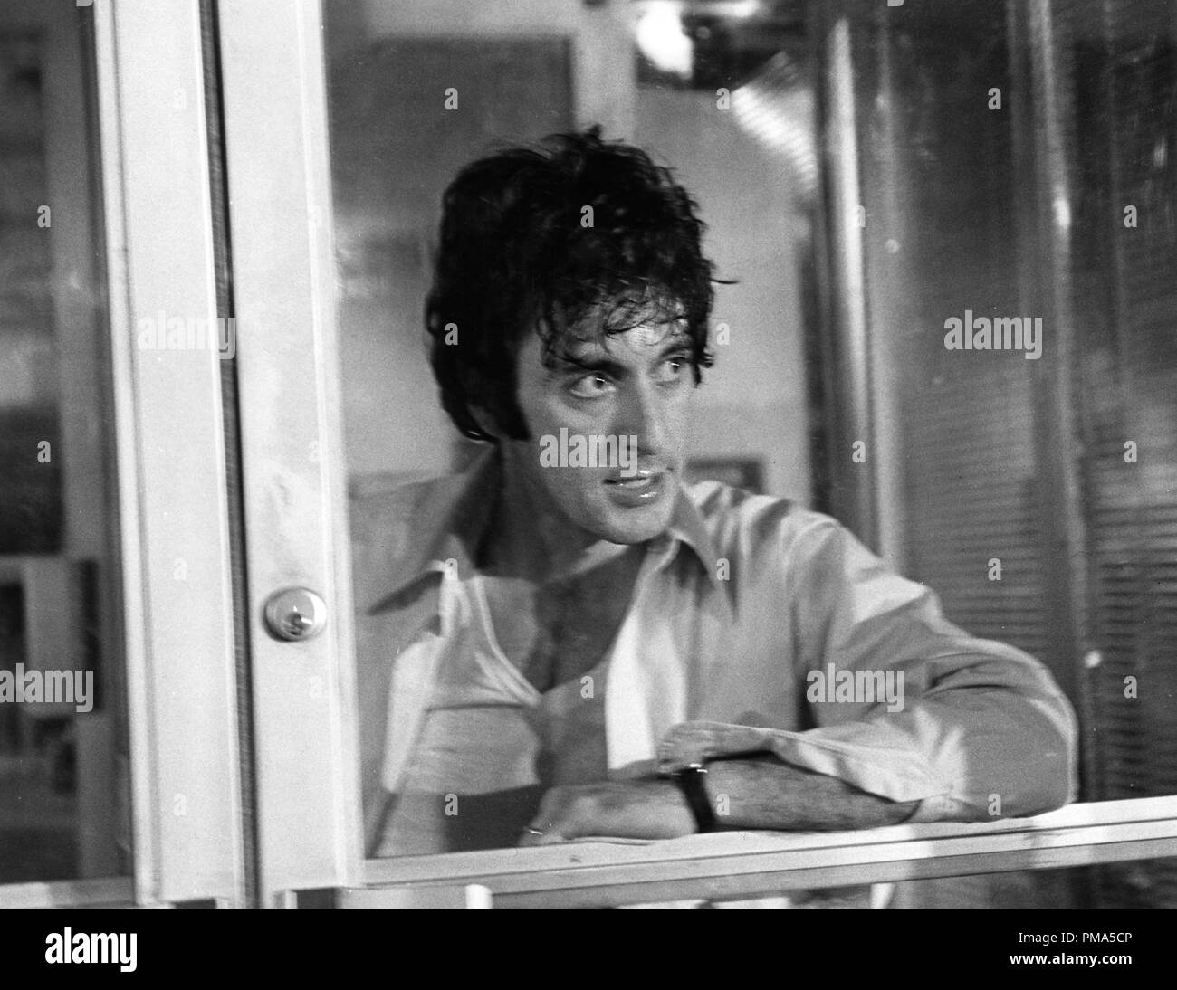 Pubblicità in studio: "Dog Day Afternoon" al Pacino 1975 Warner file Reference # 32039 089THA Foto Stock
