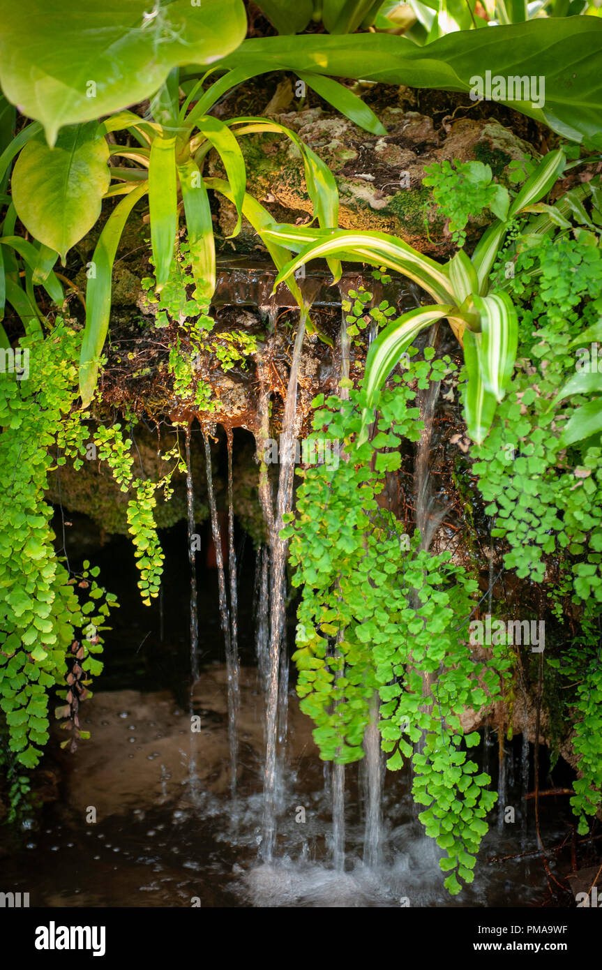 Planetario di Pittsburgh Foto Stock