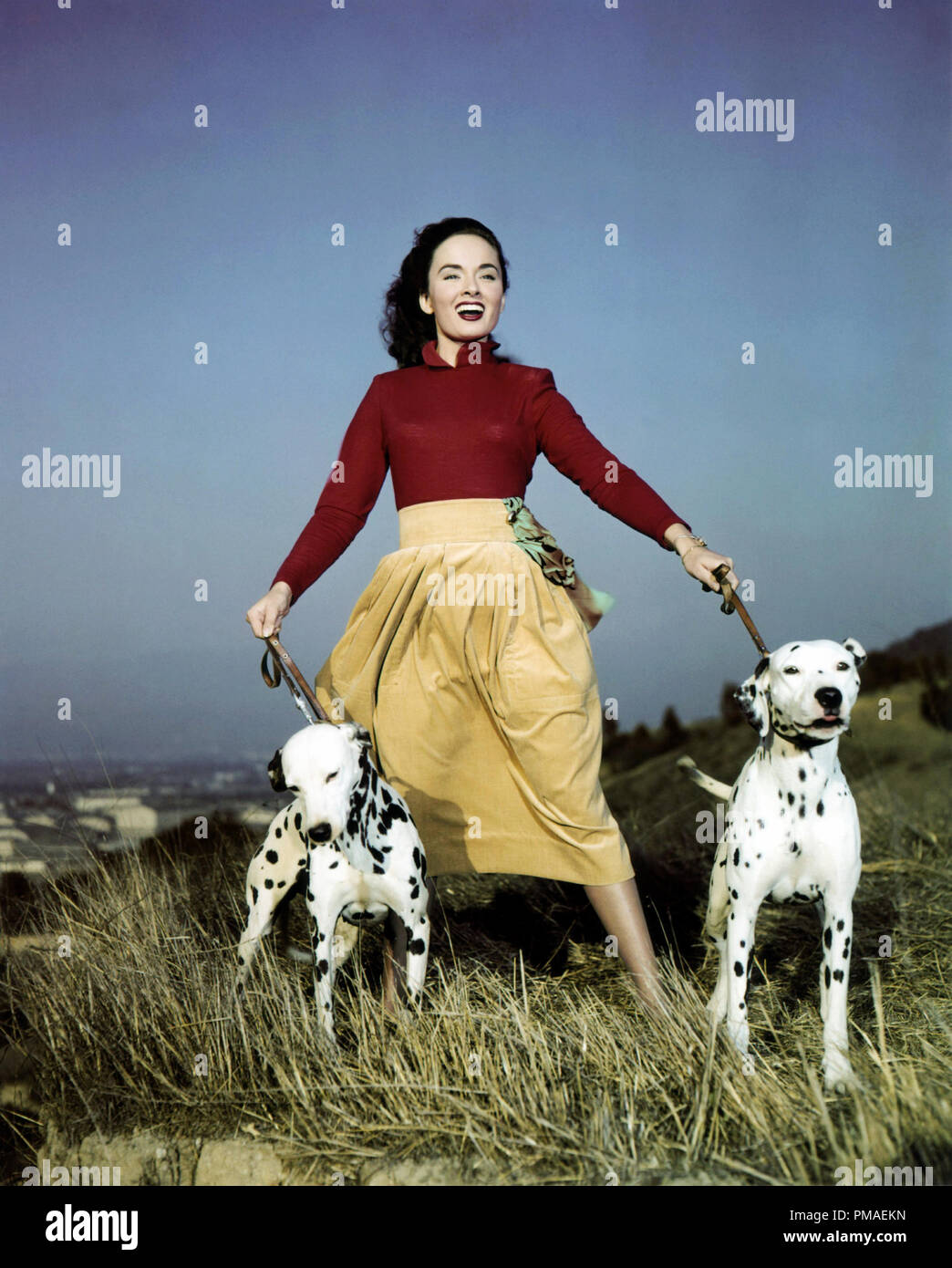 Ann Blyth circa 1951 Riferimento File # 32509 981THA Foto Stock