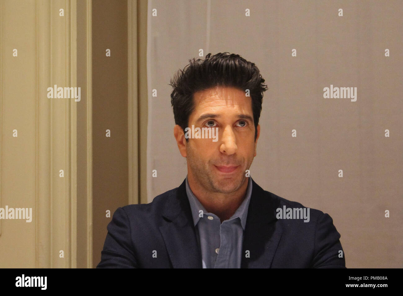 David Schwimmer a 'Il Popolo v. O.J. Simpson: American crime story " conferenza stampa tenutasi il 15 gennaio 2016 presso il Four Seasons Hotel di Beverly Hills, la California. Riferimento al file # 32804 006CCR per solo uso editoriale - Tutti i diritti riservati Foto Stock