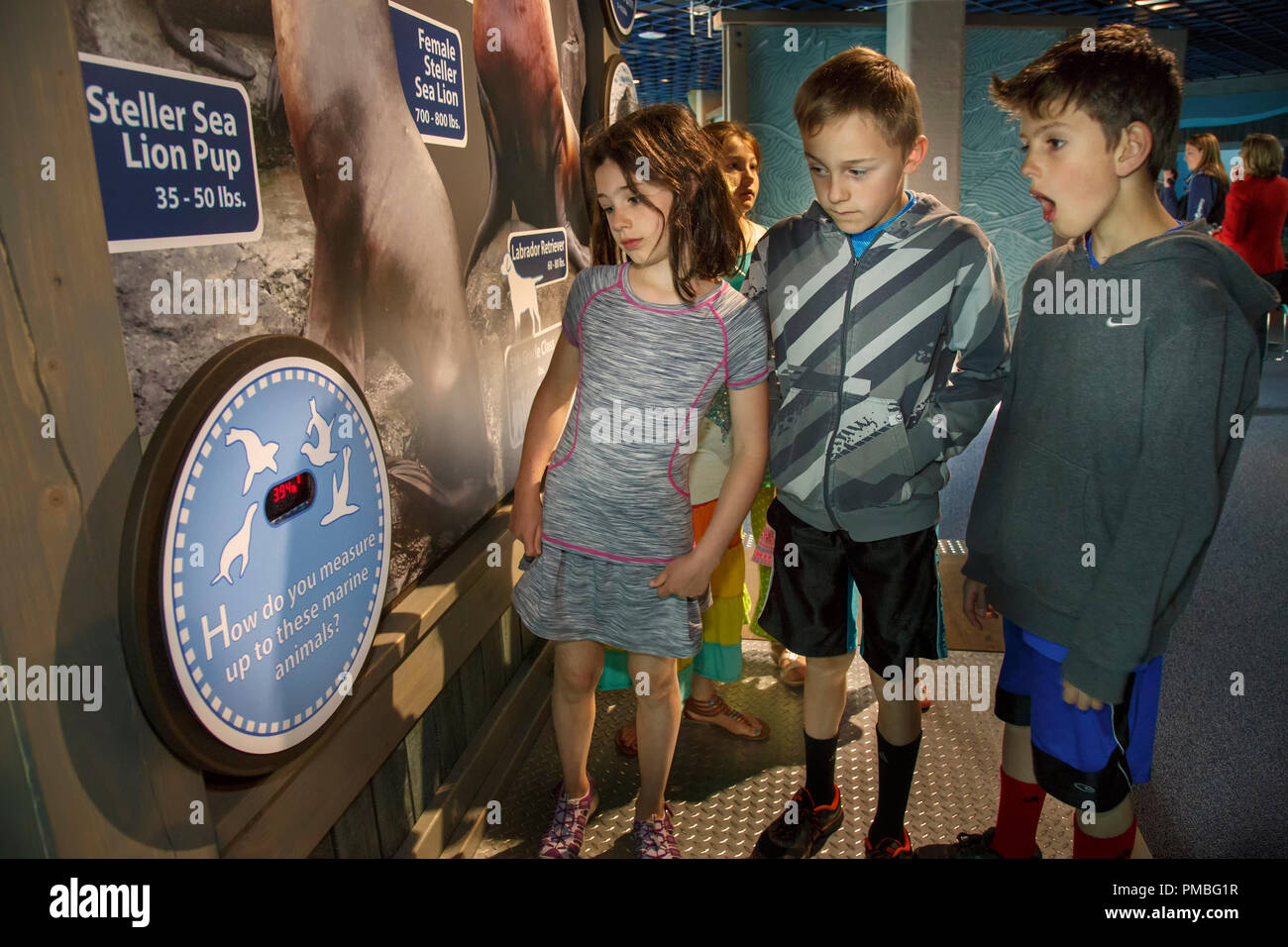 Kids in Alaska SeaLife Centre. Seward, Alaska. Foto Stock