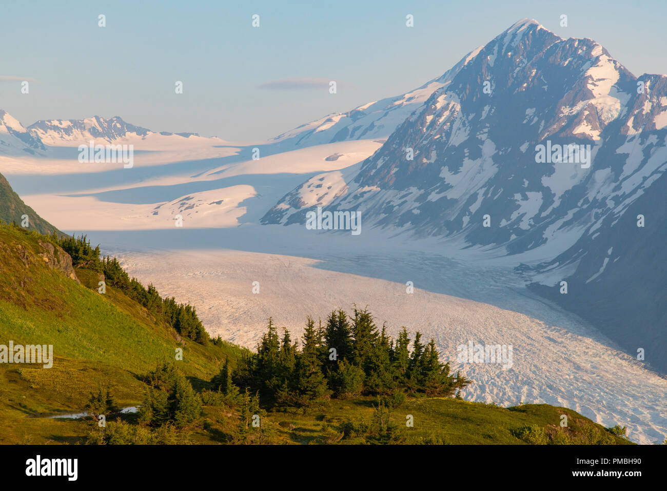 Spencer Glacier banco, Chugach National Forest, Alaska. Foto Stock