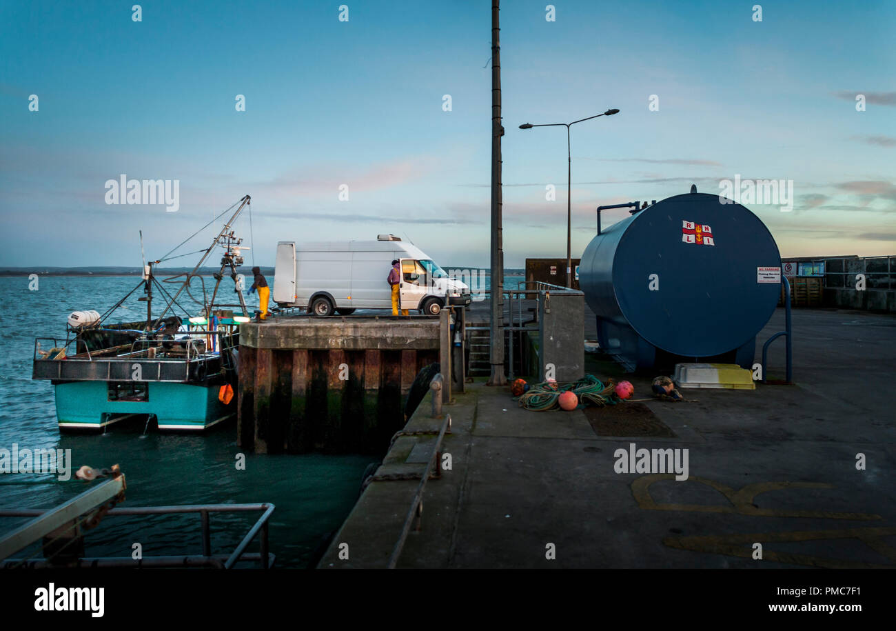 Ballycotton, Cork, Irlanda. Il 24 marzo 2017. Il primo dei ceppi di luce appaiono come equipaggio del peschereccio da traino JUEAST prepararsi a scaricare il suo fermo sul Ballyc Foto Stock