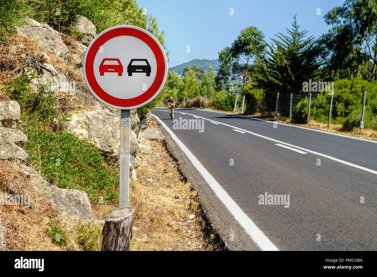 Una strada che conduce attraverso un bosco in Portogallo Foto Stock