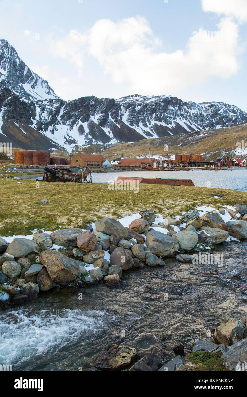 Grytviken, Georgia del Sud, l'Antartide. Foto Stock