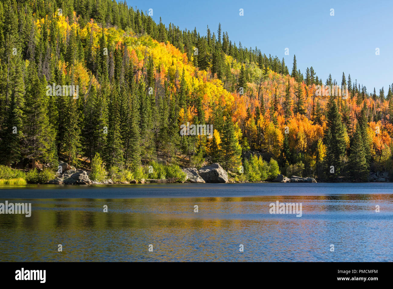 Inizio autunno riflesso in Bear Lake nel Parco Nazionale delle Montagne Rocciose, Estes Park, Colorado. Foto Stock
