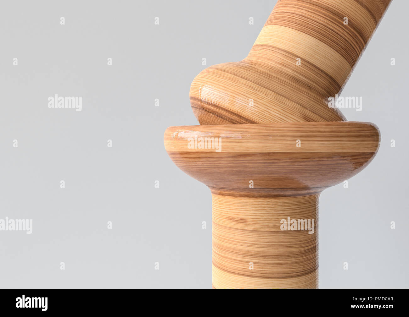 Giunto Condyloid- Joint tipi di ossa in legno guardare - 3D Rendering Foto Stock