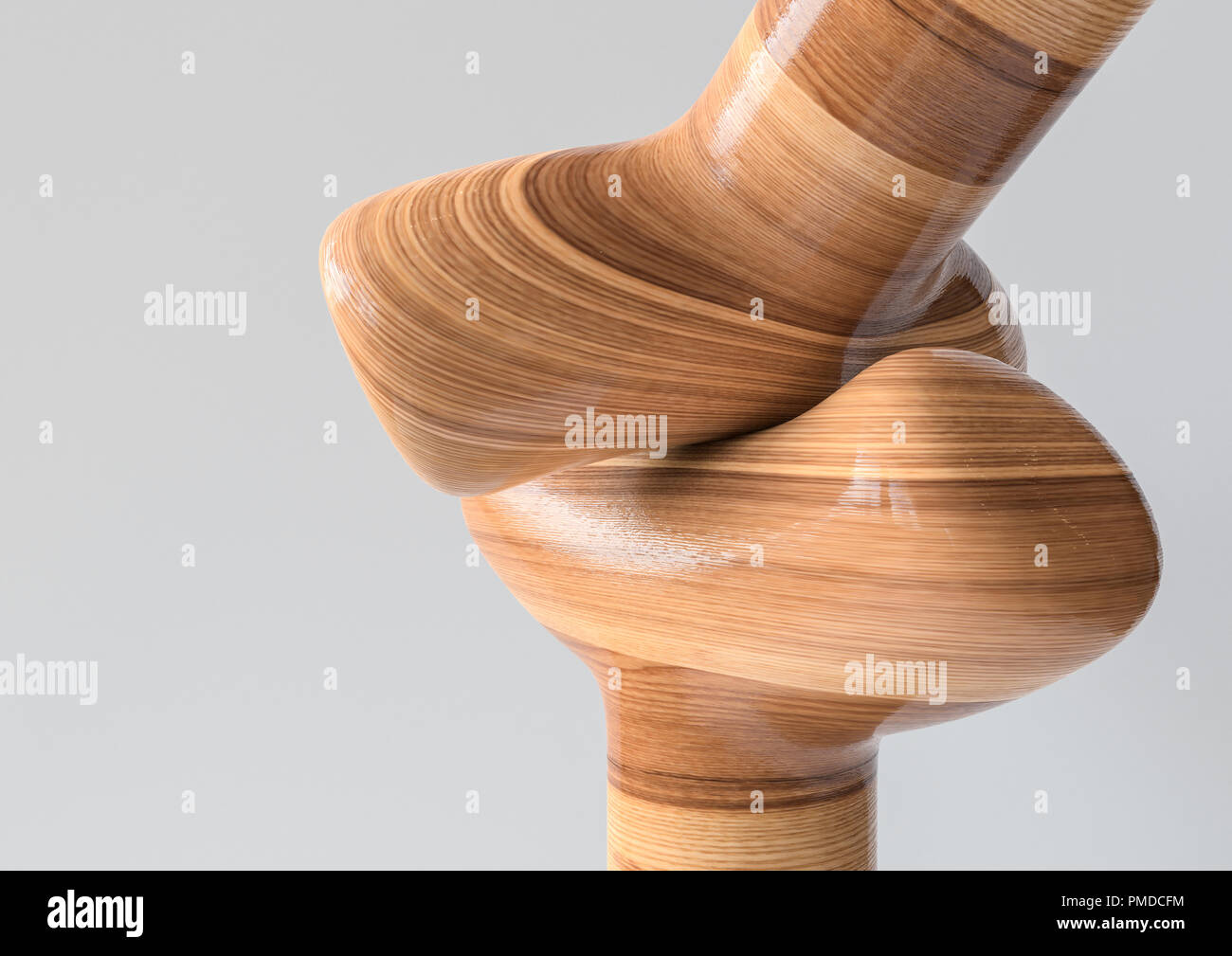 Giunto a sella - Comune di tipi di ossa in legno guardare - 3D Rendering Foto Stock