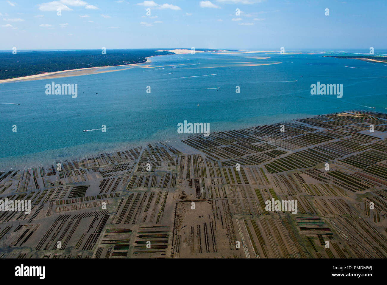 Baia di Arcachon (sud-ovest della Francia): vista aerea di ostriche. Ostriche della sandbank vicino al "Ile aux Oiseaux" (Bird Island) (non disponibile Foto Stock