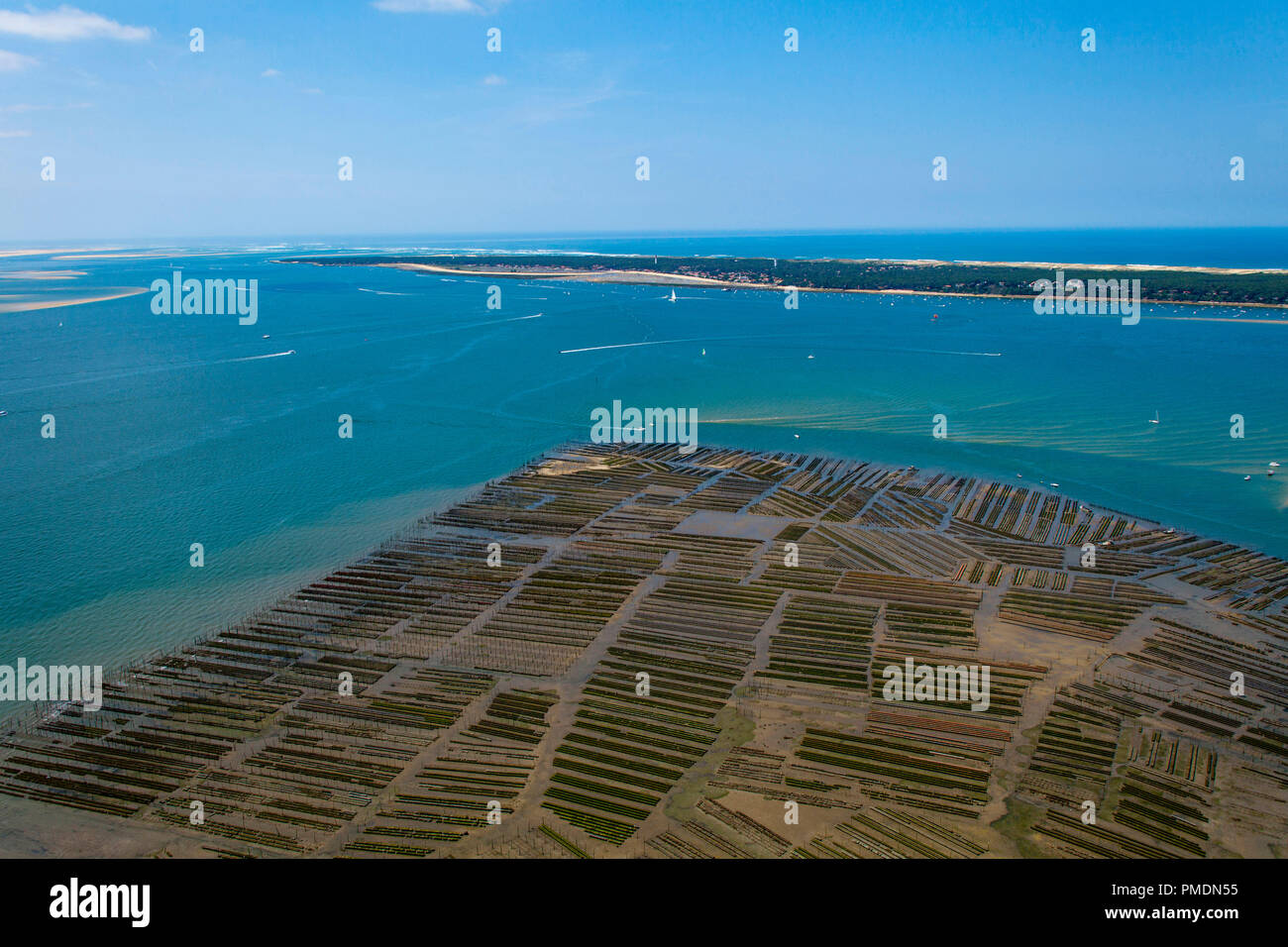 Baia di Arcachon (sud-ovest della Francia): vista aerea di ostriche. Ostriche della grande sandbank vicino al "Ile aux Oiseaux" (Bird's Island), con il Foto Stock