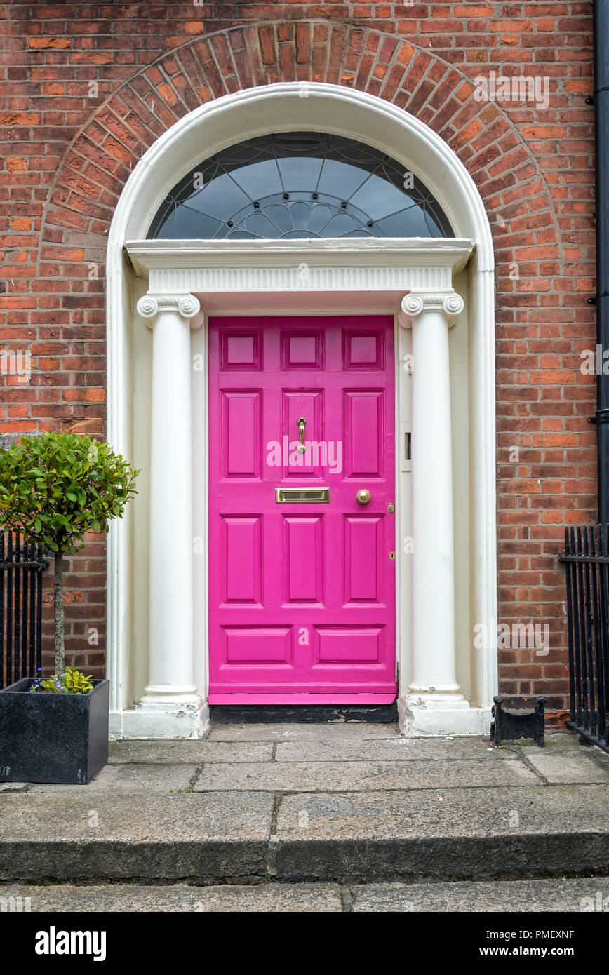 Rosa classic porta in Dublino, esempio di georgian tipica architettura di Dublino in Irlanda Foto Stock