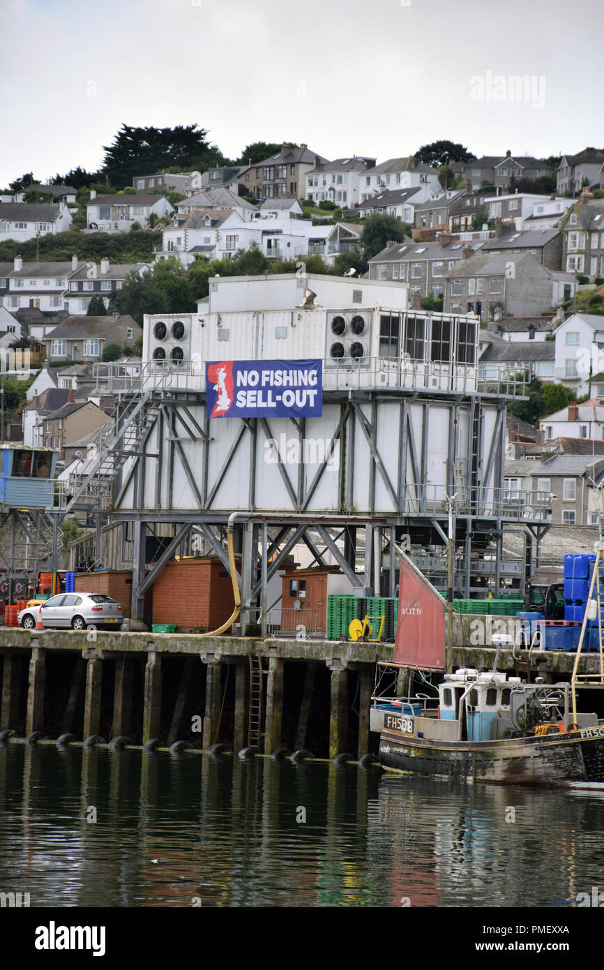 È vietata la pesca di vendere le anti-Brexit banner, Porto di Newlyn, Cornwall, Regno Unito. Agosto 2018 Foto Stock