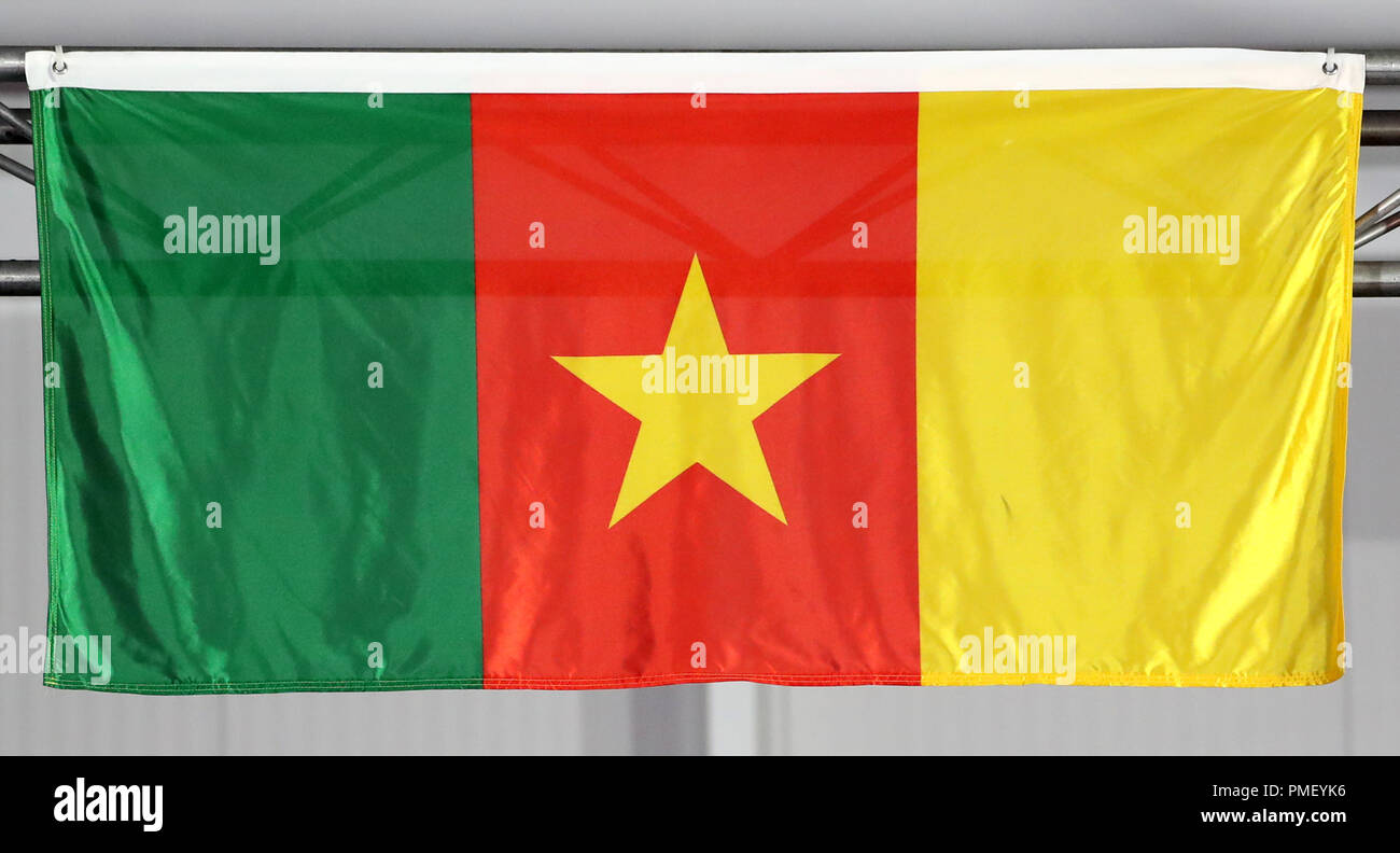 Una vista generale della bandiera del Camerun a Carrara Stadium durante il giorno sette del 2018 Giochi del Commonwealth in Gold Coast, Australia. Stampa foto di associazione. Picture Data: mercoledì 11 aprile, 2018. Vedere PA storia ATLETICA DEL COMMONWEALTH. Foto di credito dovrebbe leggere: Danny Lawson/filo PA. Restrizioni: solo uso editoriale. Uso non commerciale. Nessun video emulazione. Foto Stock