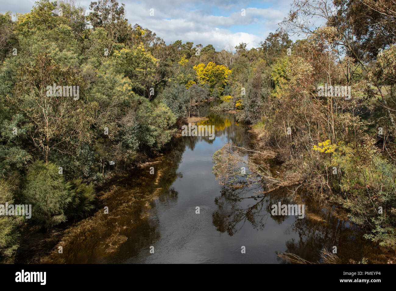 Collie River, Collie, WA, Australia Foto Stock