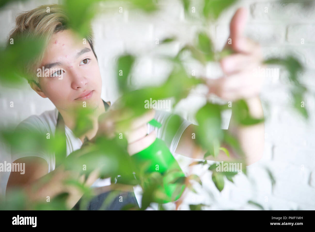 Giovane ragazzo asiatico si prende cura delle piante da interni Foto Stock