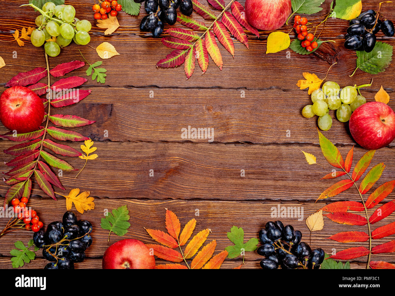 Autunno sfondo con colore giallo con foglie brillanti, pigne, castagne e frutti di bosco. Telaio raccolto autunnale su legno stagionato con spazio libero. Il layou Foto Stock