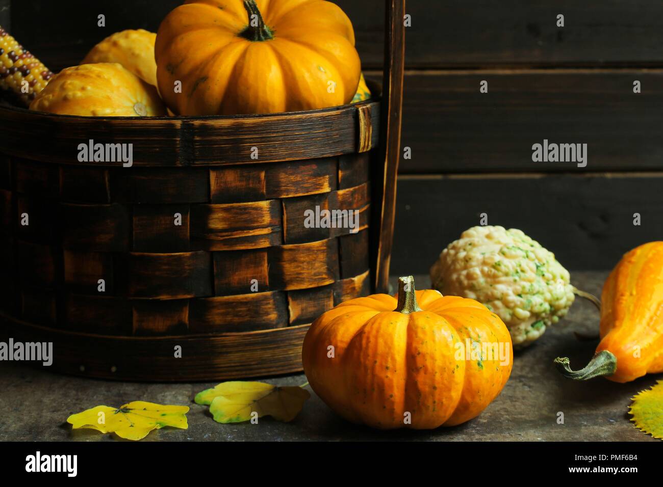 Autunno cadono sullo sfondo del Ringraziamento o telaio con zucche foglie di acero acorn dadi sulla ruggine icbasket, spazio di copia Foto Stock