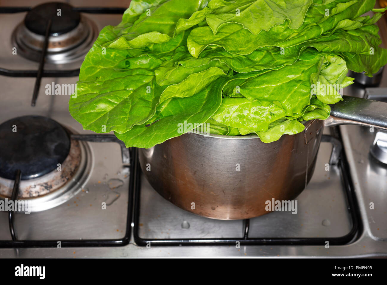 Produzione biologica giardino gli spinaci in casseruola Foto Stock