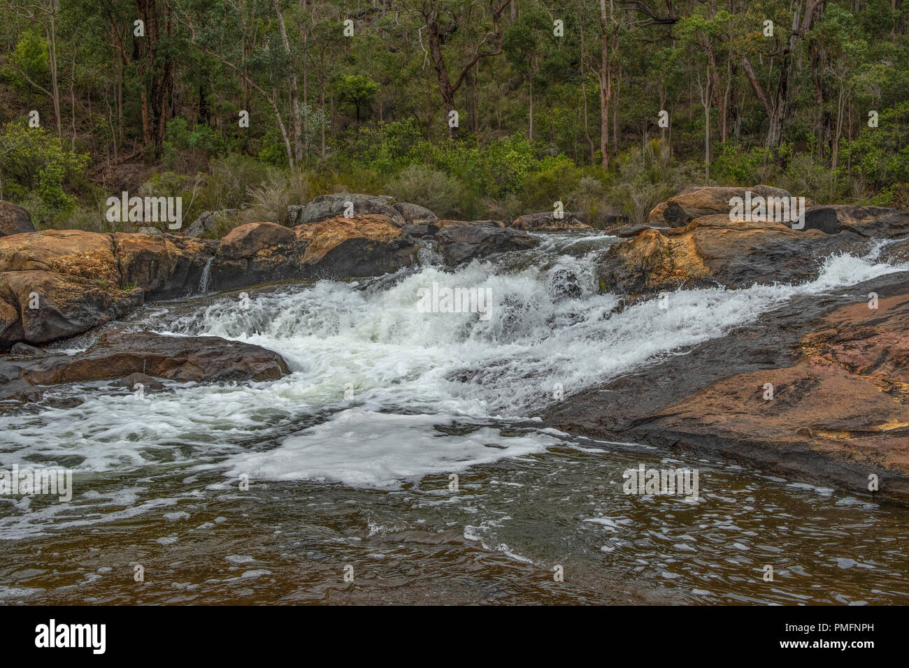 Rapide sul fiume Collie, Wellington National Park, WA, Australia Foto Stock