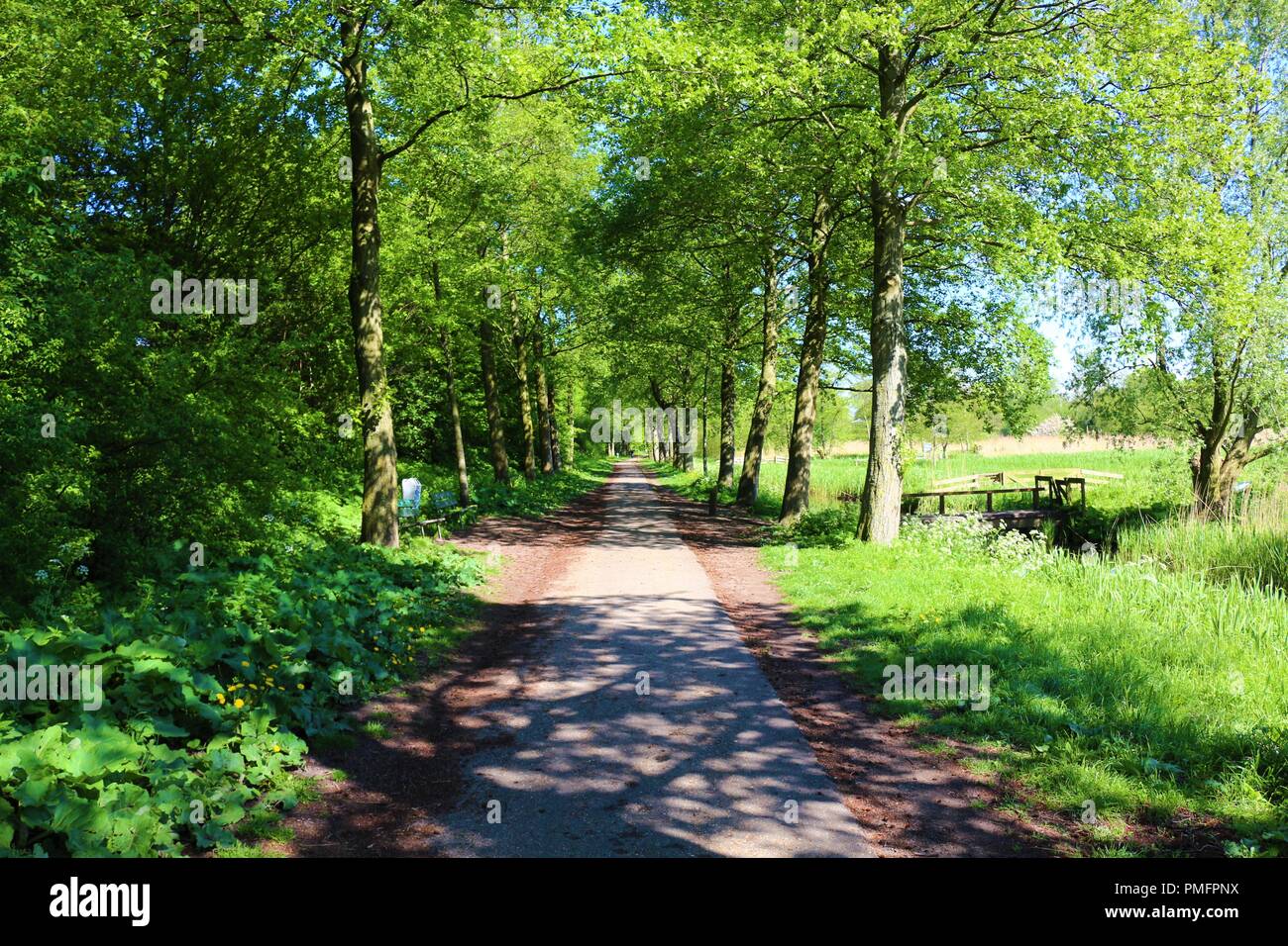 Una bella strada laterale al dado Tuinpark & Genoegen ad Amsterdam in Olanda. Foto Stock