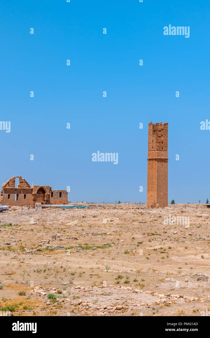 Rovine di università a Harran. È stato uno dei principali edifici ayyubide di città, costruito nel classico stile revival.Sanliurfa,Turchia Foto Stock