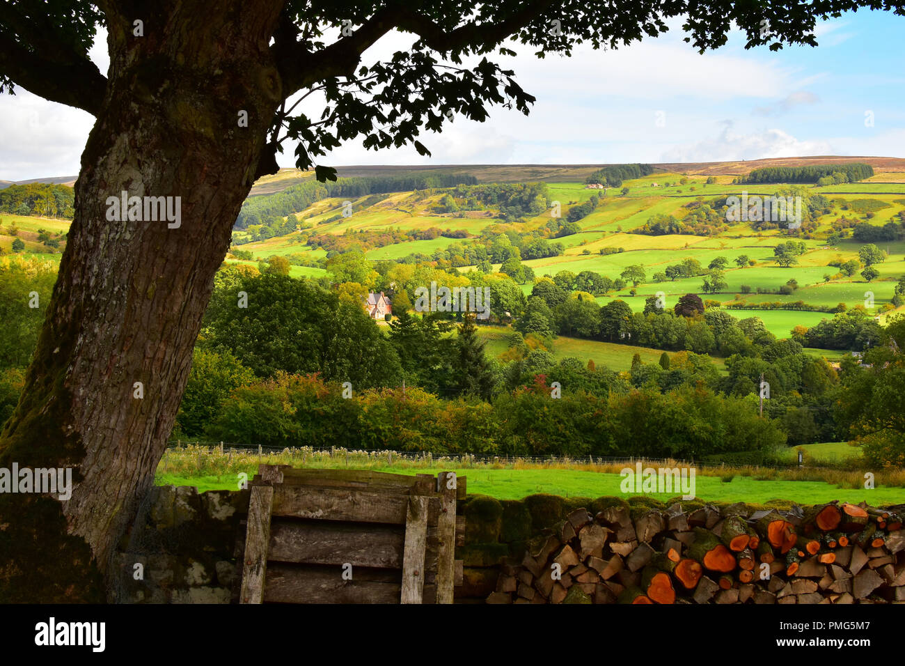Vista su Rosedale Abbey, North Yorkshire Moors, England Regno Unito Foto Stock