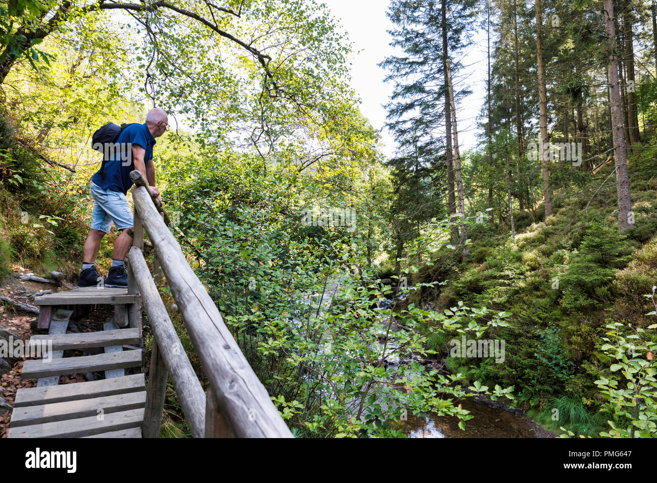 Poupehan,Belgio,16-aug-2018:Adulto Uomo con i capelli grigi escursionismo in Belgio foresta delle Ardenne,l'ardeens sono famosi parchi naturali nel paese europeo del Belgio Foto Stock