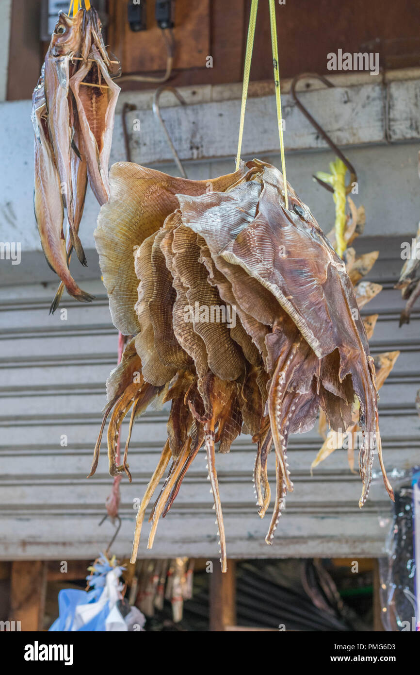 Appendere essiccati Pesci di pattino- diverse essiccato pattini pensili, con altri pesci secchi appesi in background, a Seul, Corea del Sud Foto Stock