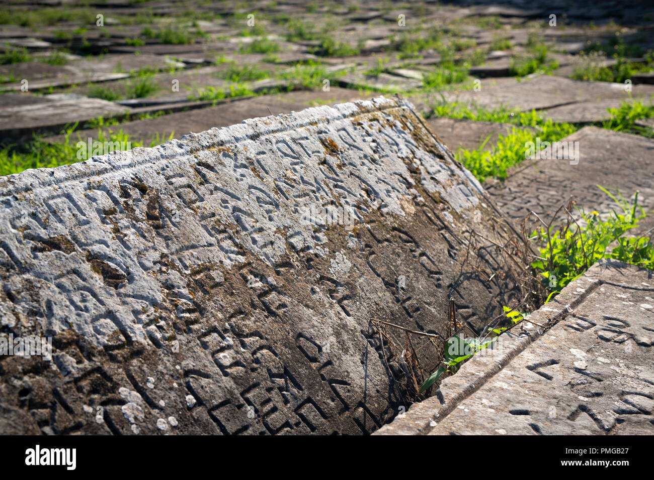 Antiche lapidi di Bayonne cimitero ebraico (Aquitania - Francia). È considerato il più antico e il più grande cimitero ebraico in Francia. Foto Stock
