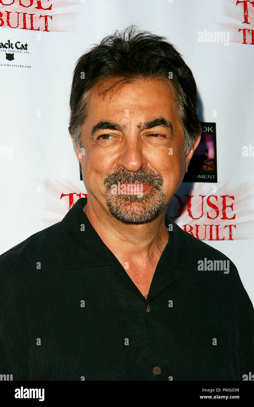 Joe Mantegna a Winebrook intrattenimento e film FourTwoFive screening di anteprima di 'la casa che Jack costruita' - Arrivi presso la Arclight Hollywood Courtyard in Hollywood, CA il 14 luglio 2009. Foto di: PictureLux Riferimento File # 30043 24PLX per solo uso editoriale - Tutti i diritti riservati Foto Stock