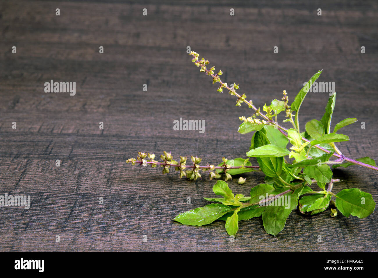 Basilico santo, curcuma, Datura frutta con olio a base di erbe e di mortaio di legno su sfondo scuro, un concetto di Ayurveda Foto Stock