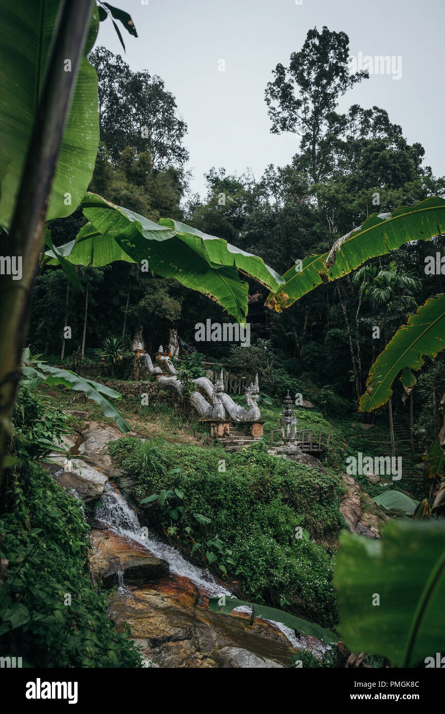 Antico serpente Naga statua passerella di ingresso al tempio nella giungla. Chiang Mai, Thailandia. Foto Stock