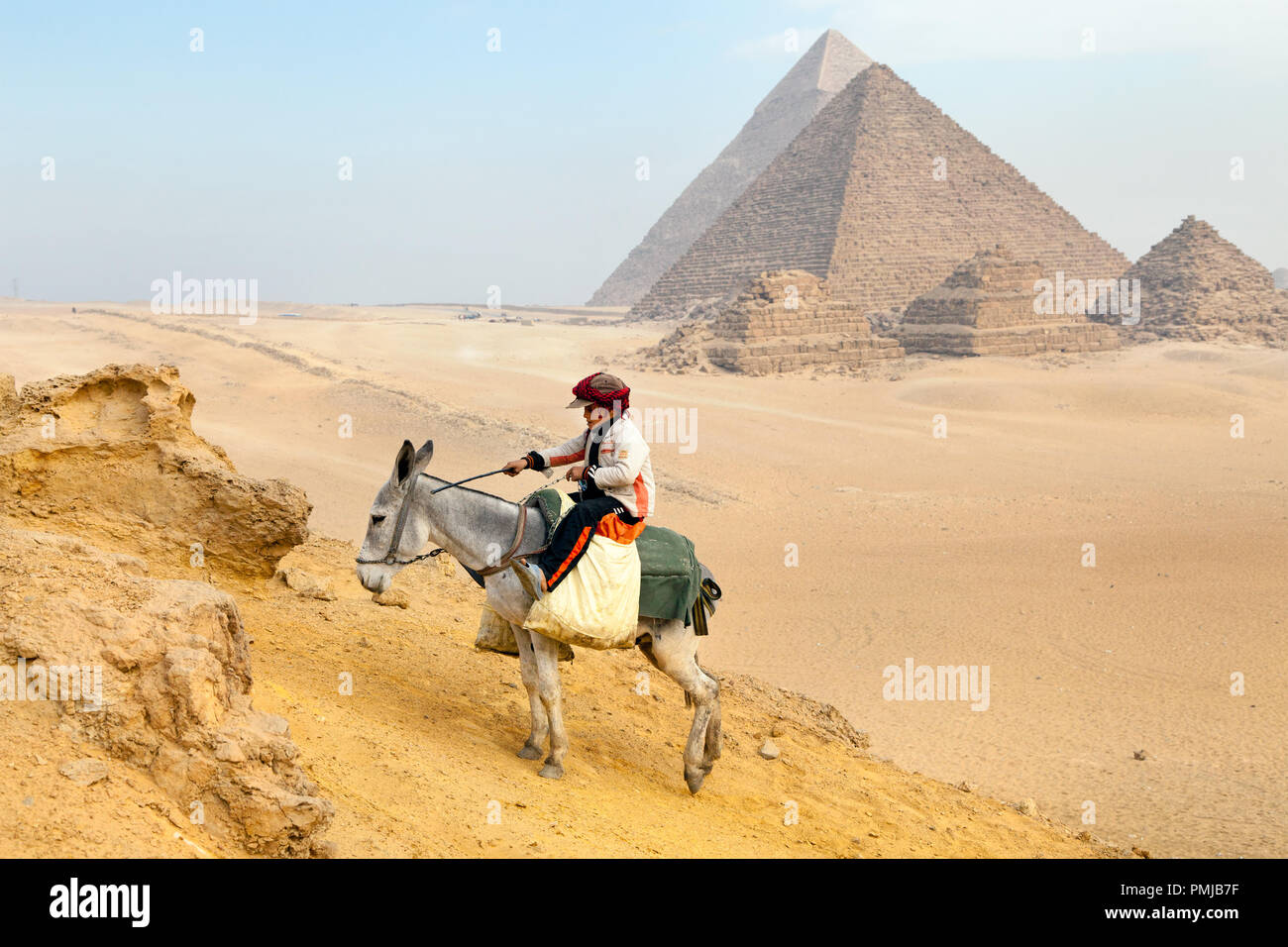 Un asino ragazzo si arrampica su di una collina in un contesto di grandi piramidi d'Egitto Foto Stock