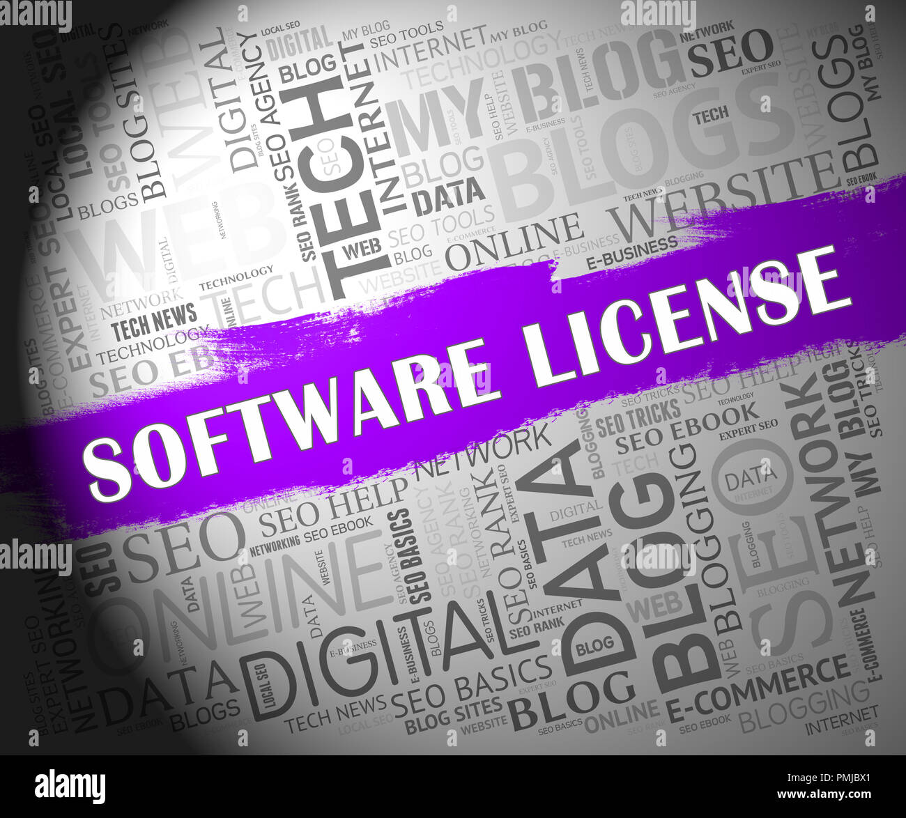 Licenza software applicazione certificata codice 2d illustrazione significa applicazione programma accordo certificato Foto Stock