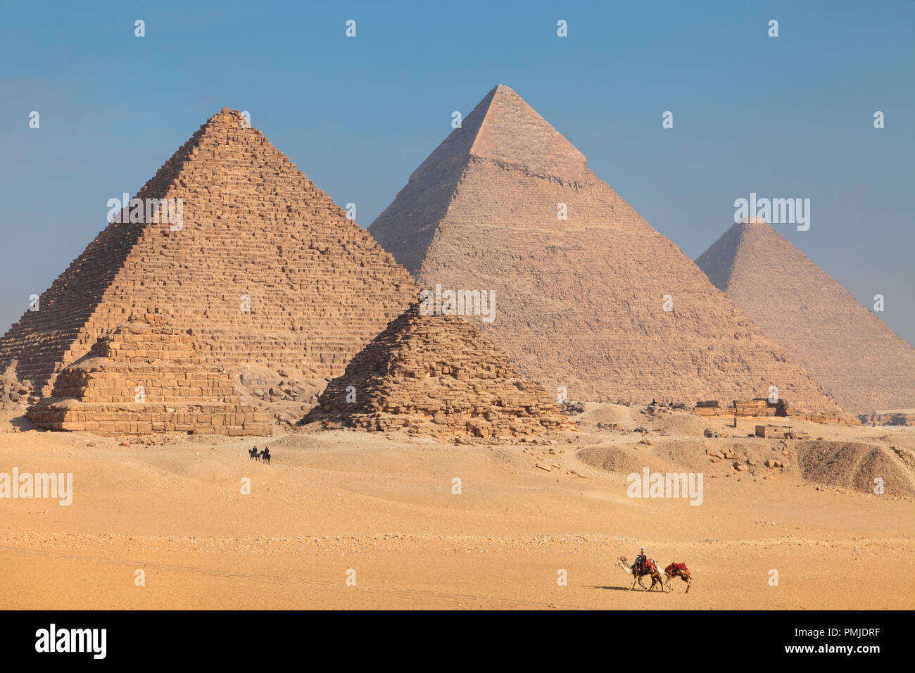 Cammelli passeggiate attraverso il deserto di sabbia su Giza altopiano presso le Grandi Piramidi d'Egitto Foto Stock