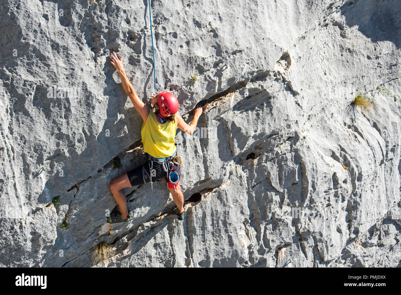 Femmina scalatore rock climbing roccia nelle Gorges du Verdon / Verdon Gorge canyon, Alpes-de-Haute-Provence, Provence-Alpes-Côte d'Azur, in Francia Foto Stock