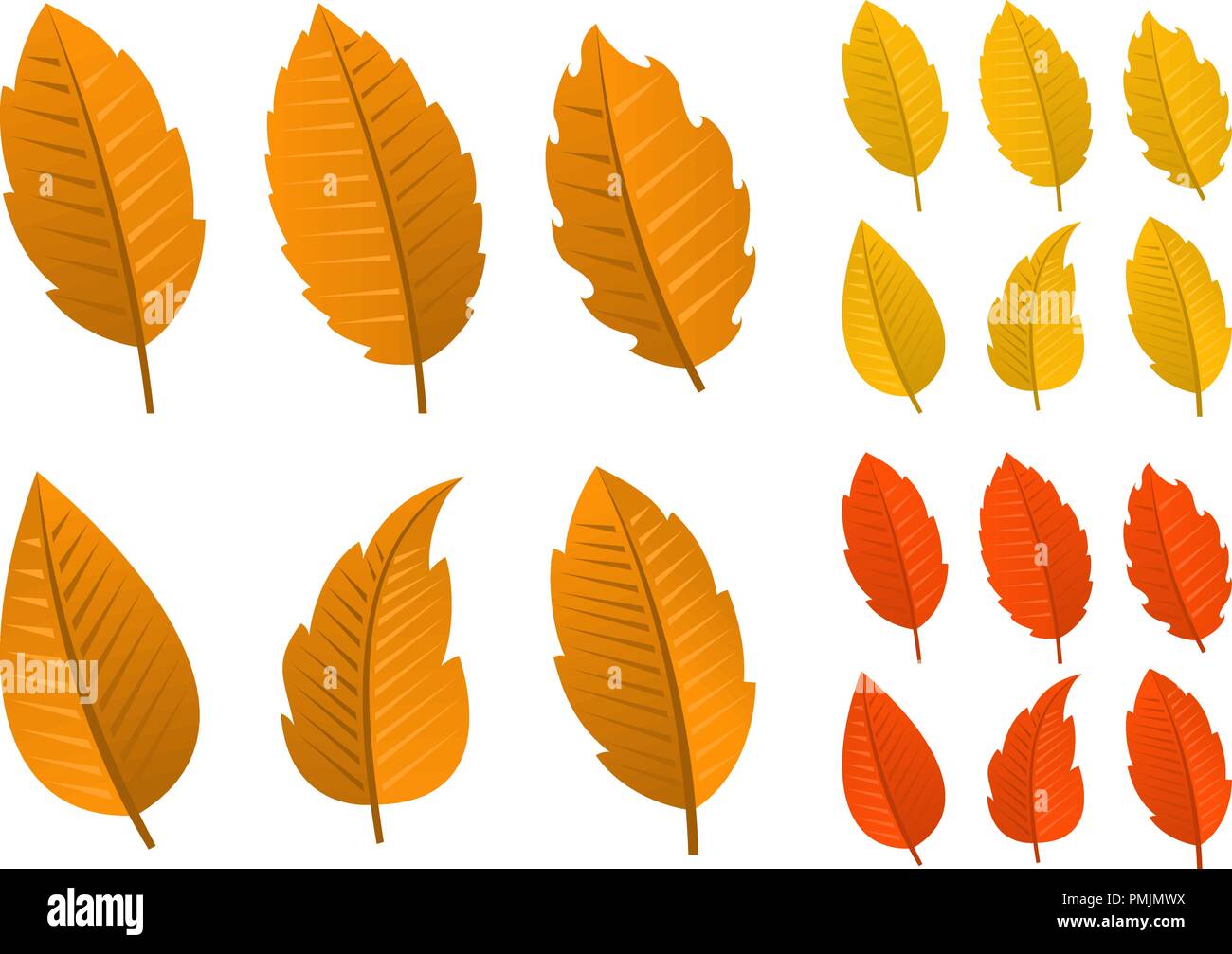 Set di foglie di autunno Illustrazione Vettoriale