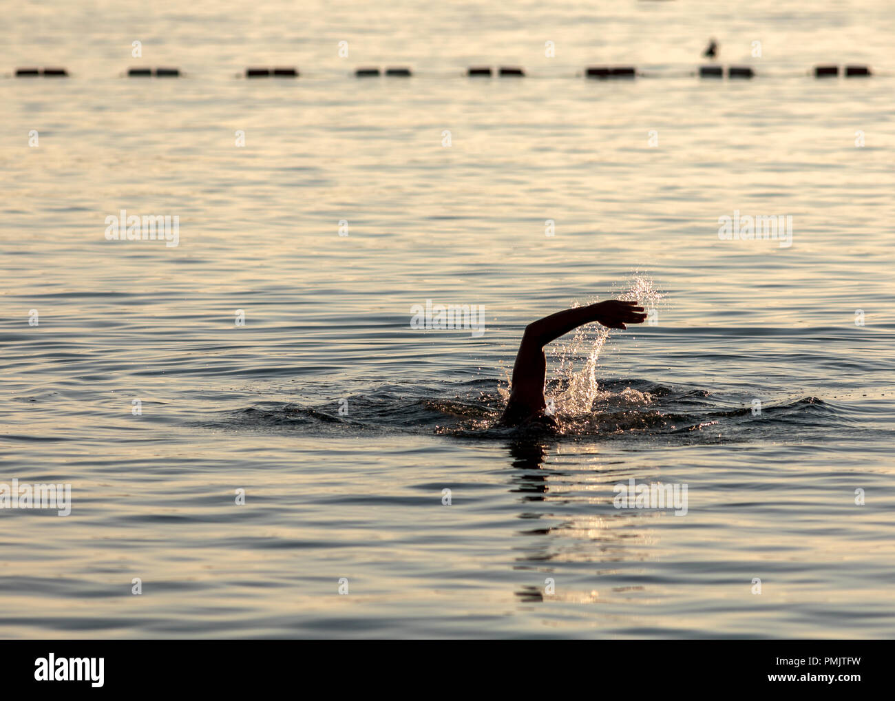 Nuotatore mano sopra la superficie dell'acqua Foto Stock