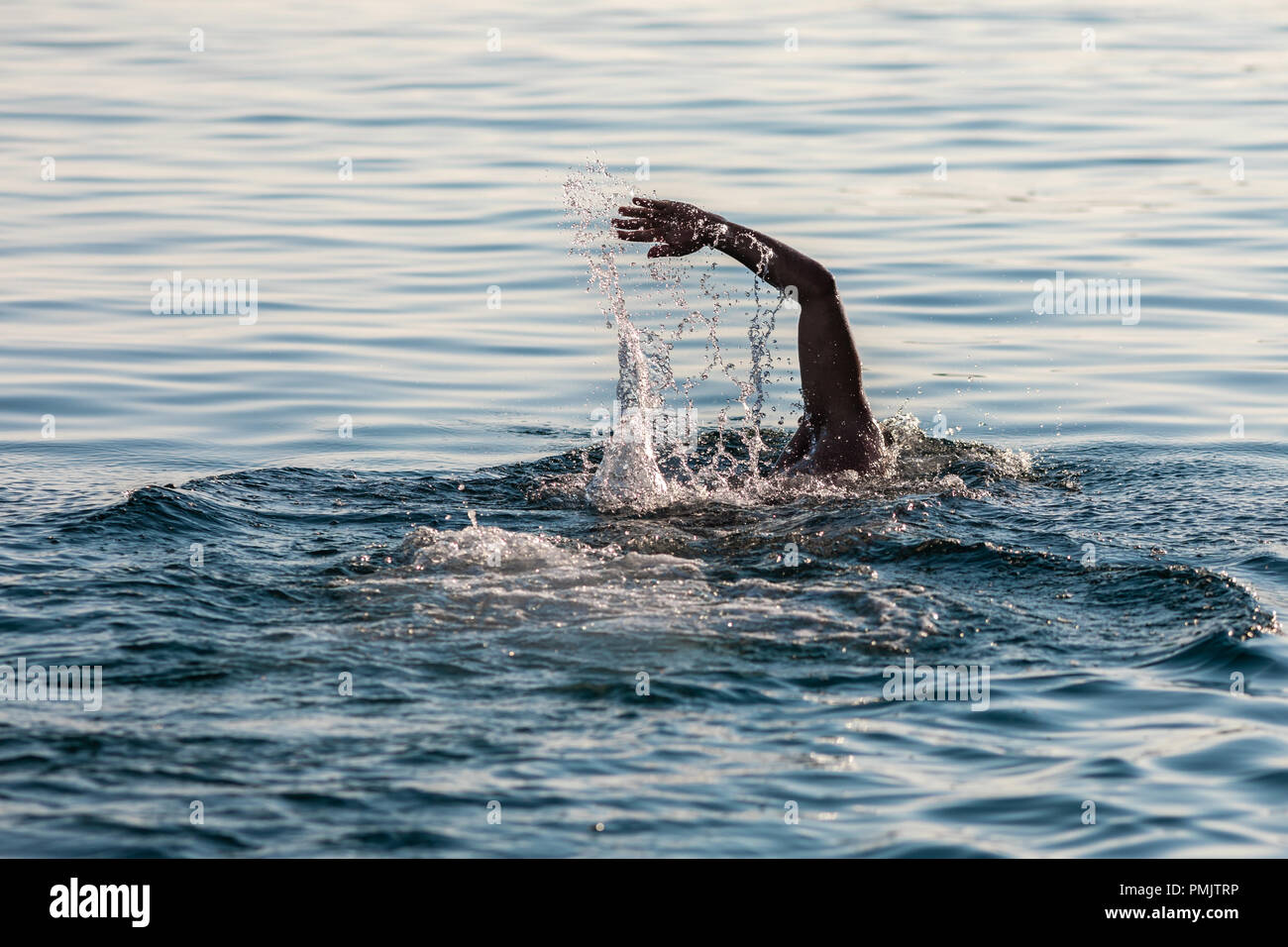 Nuotatore mano sopra la superficie dell'acqua Foto Stock