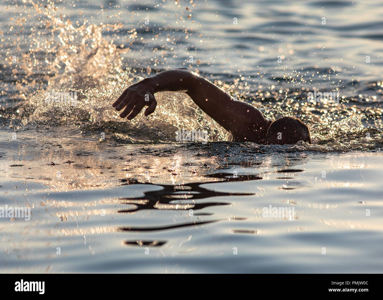 Nuotatore mano sopra la superficie dell'acqua Foto Stock