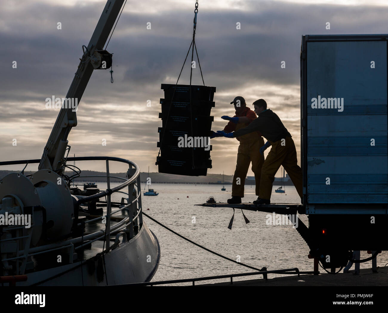 Crosshaven, sughero, 14 luglio, 2017. Equipaggio di un peschereccio da traino Buddy M alleggerendo le catture di merlano e di merluzzo su un camion in Crosshaven Co. Tappo di sughero. Foto Stock